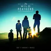 The Wild Feathers - Got it wrong