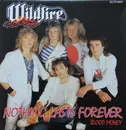 7inch Vinyl Single - Wildfire - Nothing Lasts Forever