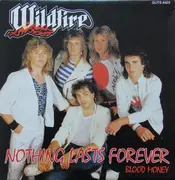 7inch Vinyl Single - Wildfire - Nothing Lasts Forever