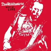 Wild Hearts - Best Of Live
