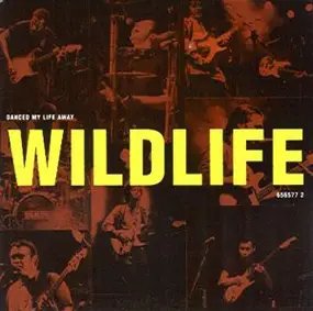 The Wildlife - Danced My Life Away