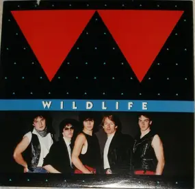 The Wildlife - Same