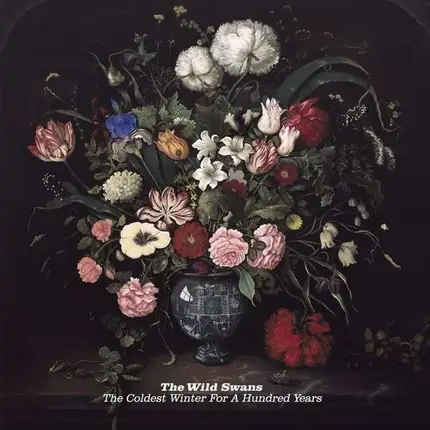 WILD SWANS - COLDEST WINTER FOR..