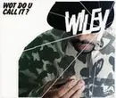 CD Single - Wiley - Wot Do U Call It?