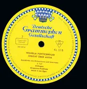Wilhelm Furtwängler - Spricht Über Musik