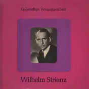 Wilhelm Strienz