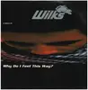 12inch Vinyl Single - Wilks - Why Do I Feel This Way?