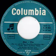 Will Brandes Und Hans Lucas , Orchester Werner Twardy - Ahoi - Ohe / Kleine Möwe, Flieg Nach Helgoland