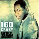 12inch Vinyl Single - Will Downing - I Go Crazy - Picture Sleeve