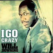 12inch Vinyl Single - Will Downing - I Go Crazy - Picture Sleeve