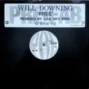 12inch Vinyl Single - Will Downing - Free