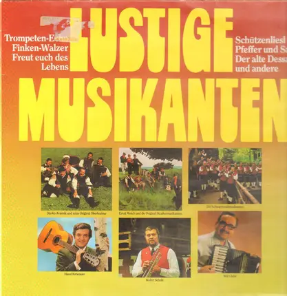 Will Glahé, Ernst Mosch, Pat & Paul a.o. - Lustige Musikanten