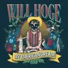 LP - Will Hoge - My American Dream (lp)