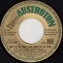 7inch Vinyl Single - Will Höhne - Weit Ist Das Meer Und Schön Ist Die Welt - no cover