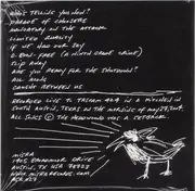 CD - Will Johnson - Survey/Voyage 2004-2005 - Cardboard Sleeve