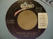 7inch Vinyl Single - Will To Power - Dreamin'