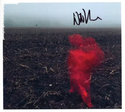Will Varley - The Hole Around My Head