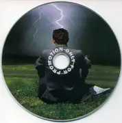 CD - Willard Grant Conspiracy - There But For The Grace Of God - A Short History Of The Willard Grant Conspiracy