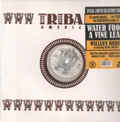 William Orbit - Water From A Vine Leaf
