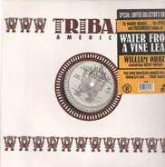 William Orbit - Water From A Vine Leaf
