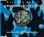 CD Single - William Orbit - Water From A Vine Leaf