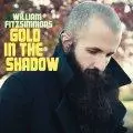 Double CD - William Fitzsimmons - Gold In The Shadow (Ltd. Edition)