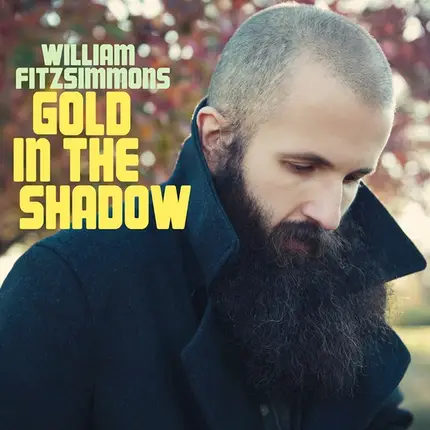 William Fitzsimmons - Gold in the Shadow