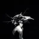 CD - William Ryan Fritch - New Words For Old Wounds - Large Digifile