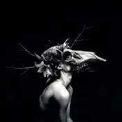 William Ryan Fritch - New Words for Old Wounds