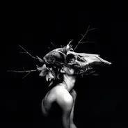 William Ryan Fritch - New Words for Old Wounds