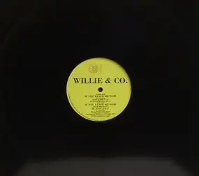 Willie - If You Leave Me Now