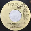 7inch Vinyl Single - Willie Nelson - If You Can't Touch Her At All