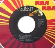 7inch Vinyl Single - Willie Nelson - Little Things