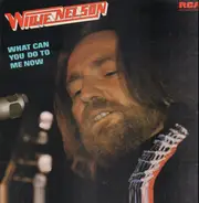Willie Nelson - What Can You Do To Me Now?