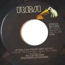 7'' - Willie Nelson - If You Can Touch Her At All