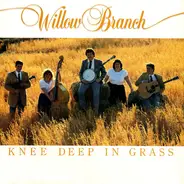 Willow Branch - Knee Deep In Grass