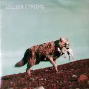 Willson - Tricks
