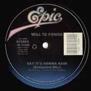 Will To Power - Say It's Gonna Rain