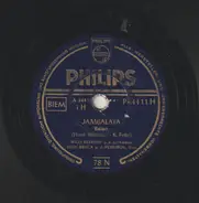 Willy Berking Und Sein Orchester , Ruth Bruck , Die Peheiros - Jambalaya / Brauchst Du Für's Herz Ne Miss, Miss, Miss