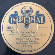 Willy Berking Und Sein Orchester - So Schön Wie Heut... / Frühling In Wien