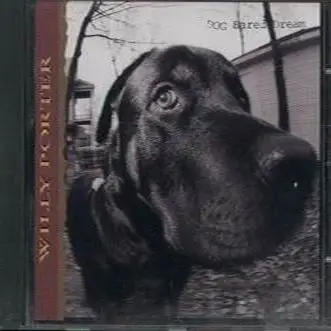 Willy Porter - DOG earedb Dream