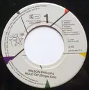 7inch Vinyl Single - Wilson Phillips - Hold On