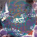 7inch Vinyl Single - Wilson Phillips - The Dream Is Still Alive