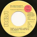7inch Vinyl Single - Wilson Pickett - Take A Closer Look At The Woman You're With