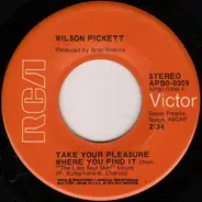 Wilson Pickett - Take Your Pleasure Where You Find It