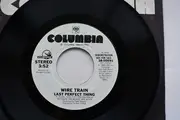 7inch Vinyl Single - Wire Train - Last Perfect Thing