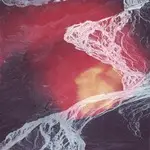 LP - Wires Under Tension - Light Science - CHRISTOPHER TIGNOR AND THEO METZ OF POST-ROCKERS