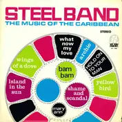 WIRL Steel Band