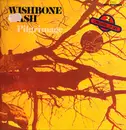 Double LP - Wishbone Ash - Pilgrimage / Argus