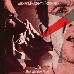 Wishbone Ash - You See Red